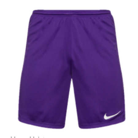 Nike Park III Shorts Purple Adults Clone